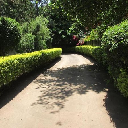 Themi Valley Eco And Cultural Tourism Homestay 阿鲁沙 外观 照片