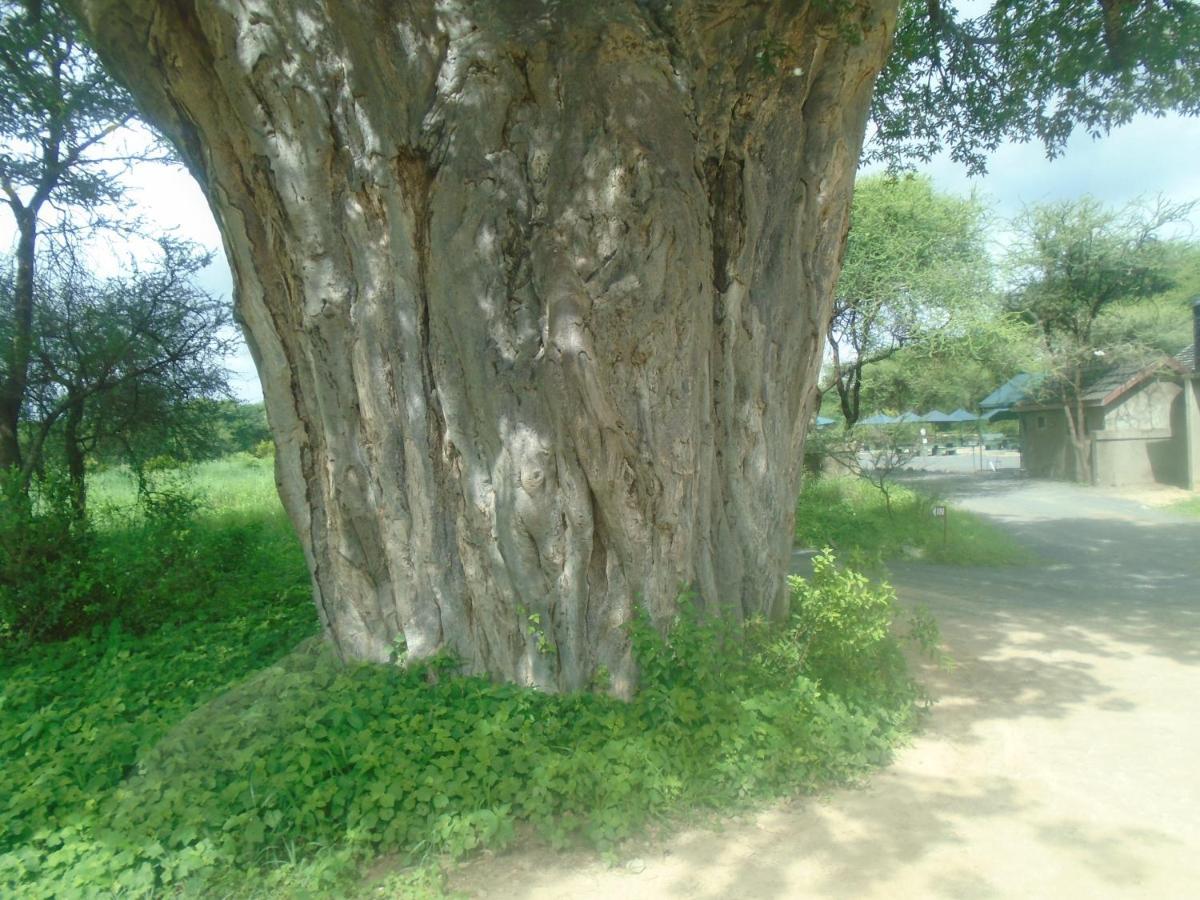 Themi Valley Eco And Cultural Tourism Homestay 阿鲁沙 外观 照片