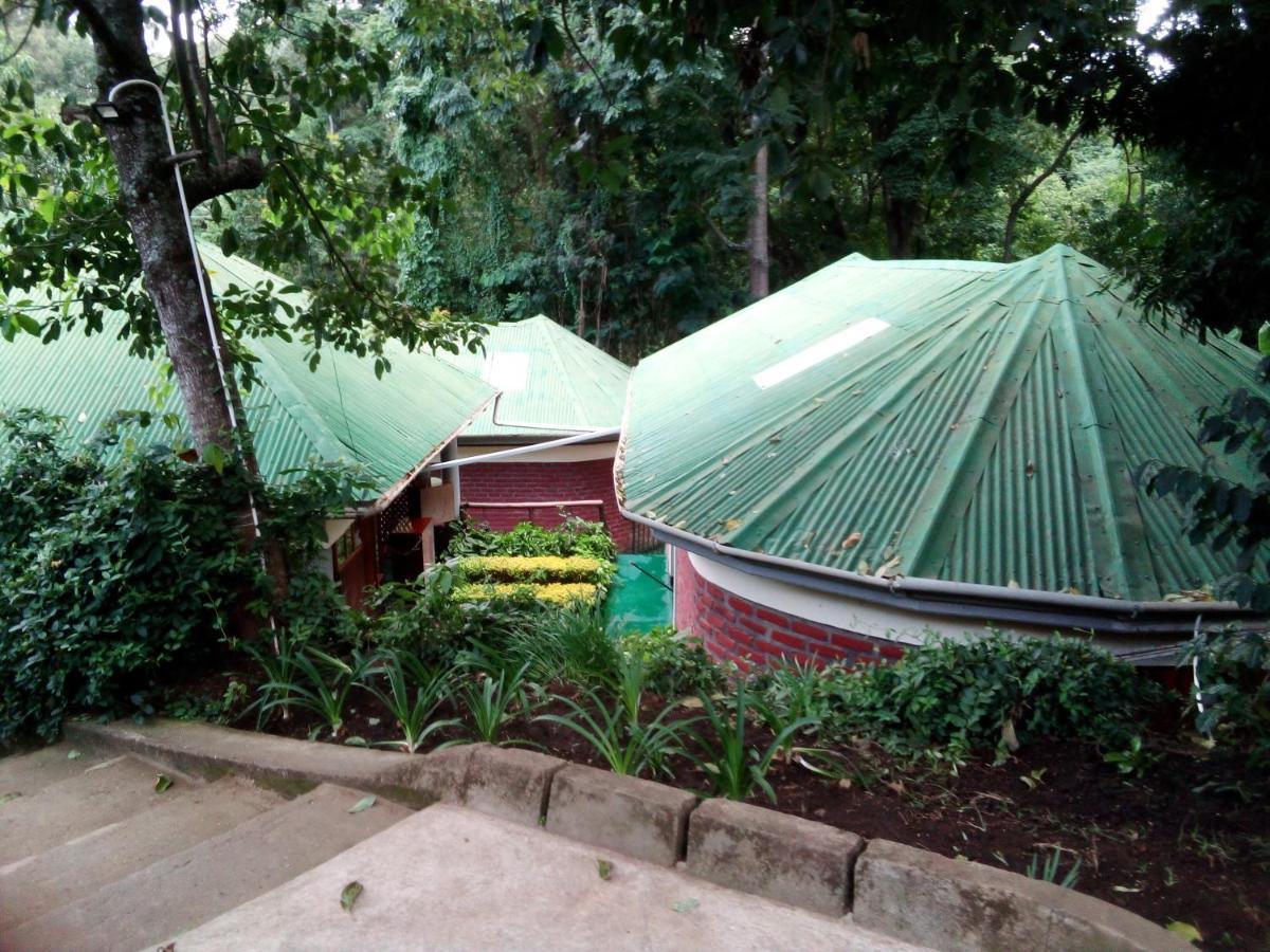 Themi Valley Eco And Cultural Tourism Homestay 阿鲁沙 外观 照片