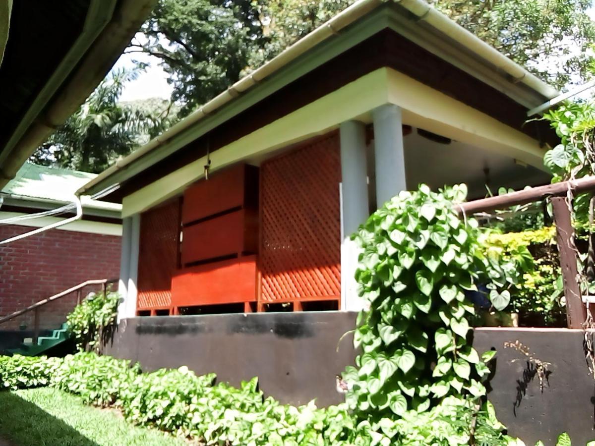 Themi Valley Eco And Cultural Tourism Homestay 阿鲁沙 外观 照片