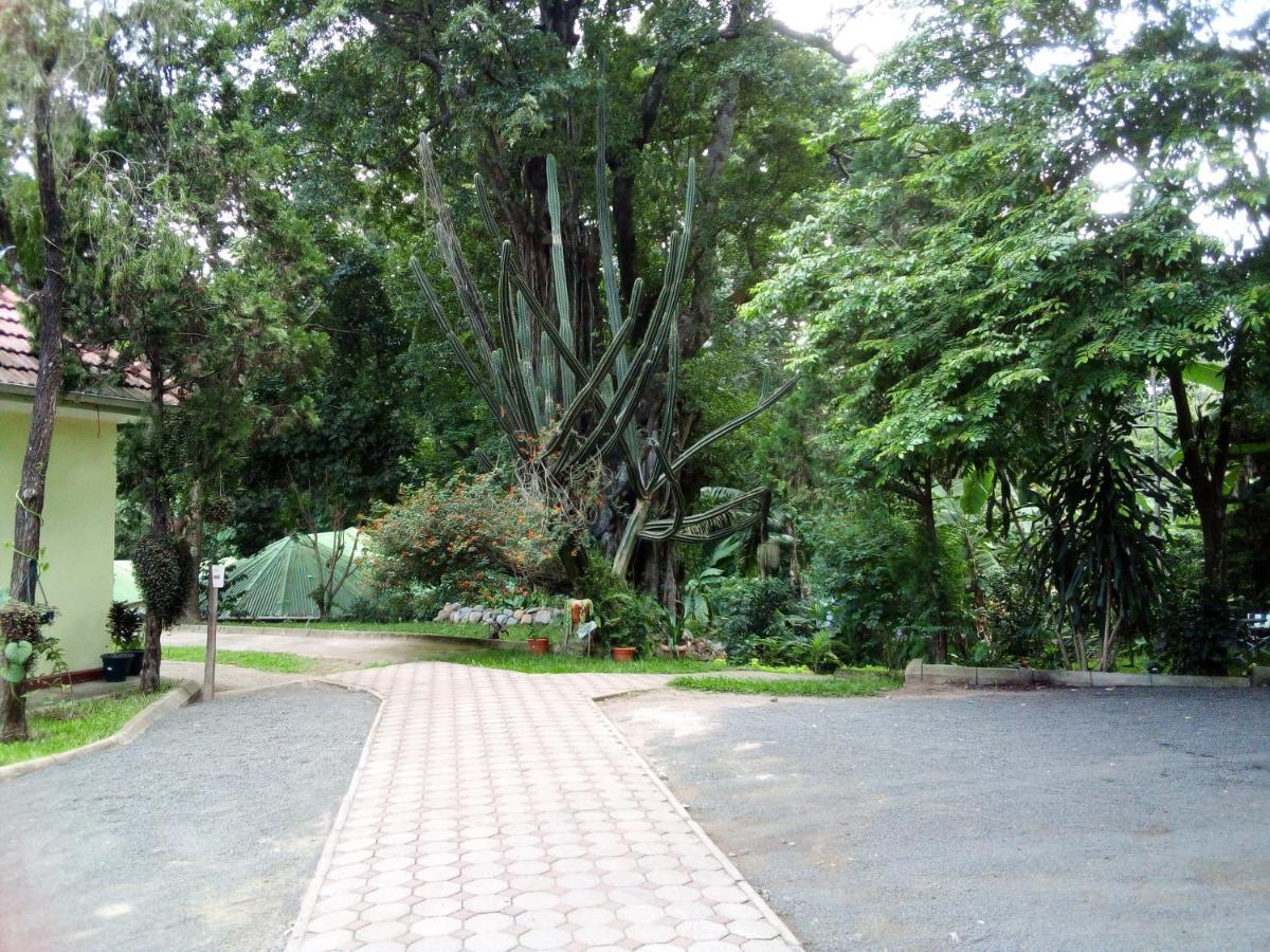 Themi Valley Eco And Cultural Tourism Homestay 阿鲁沙 外观 照片