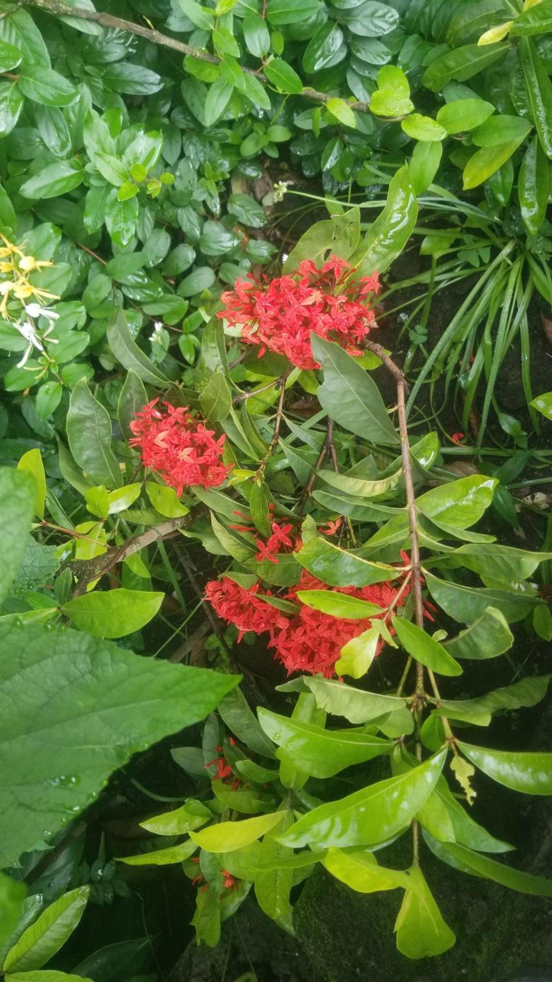 Themi Valley Eco And Cultural Tourism Homestay 阿鲁沙 外观 照片