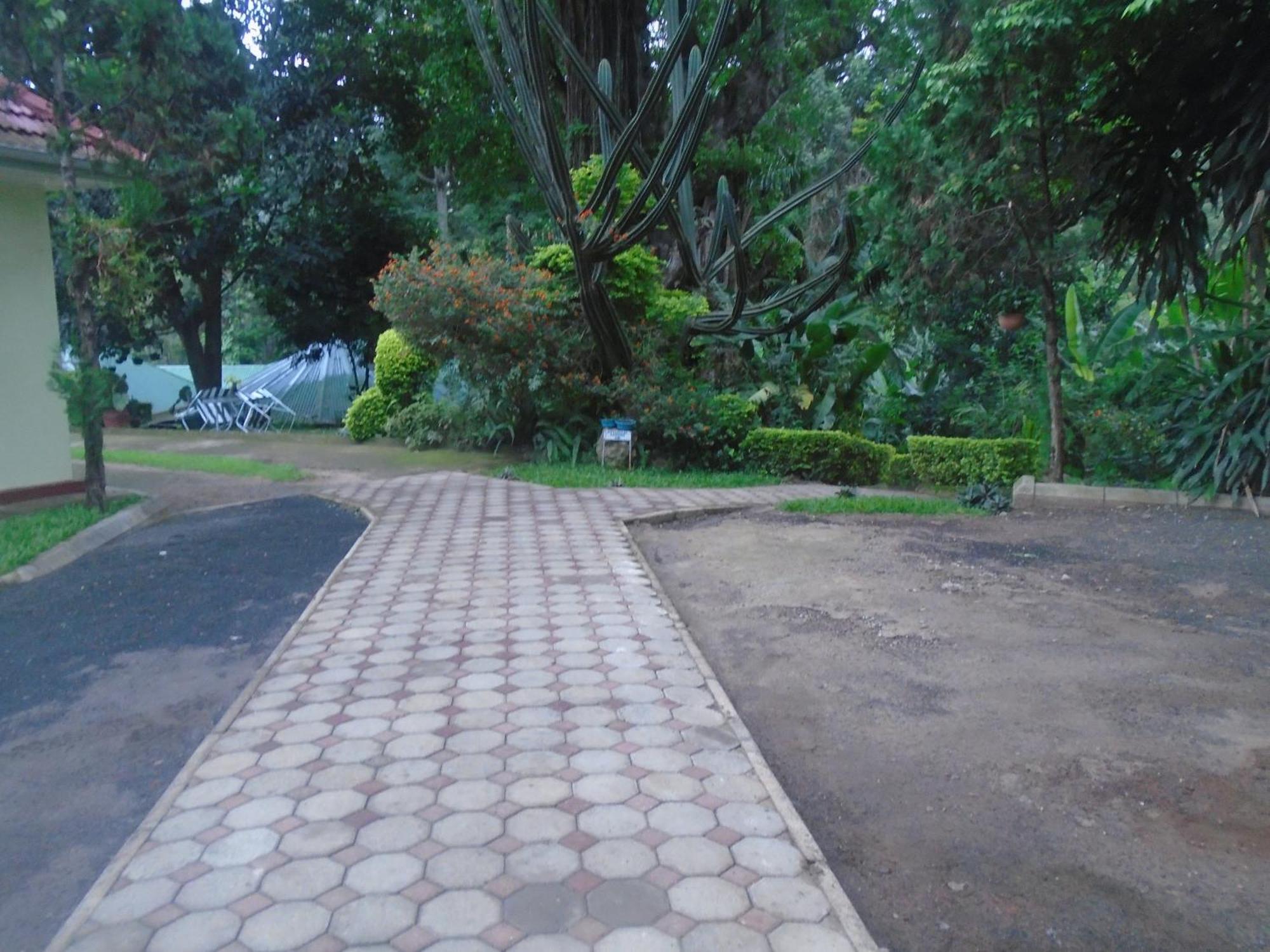 Themi Valley Eco And Cultural Tourism Homestay 阿鲁沙 外观 照片