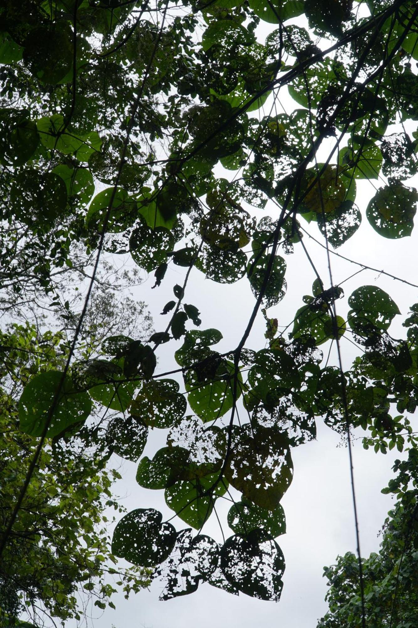Themi Valley Eco And Cultural Tourism Homestay 阿鲁沙 外观 照片
