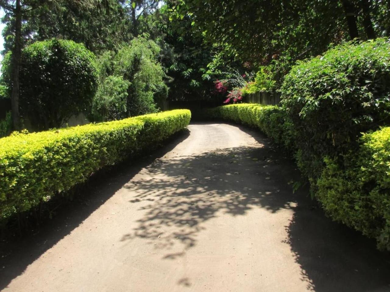 Themi Valley Eco And Cultural Tourism Homestay 阿鲁沙 外观 照片