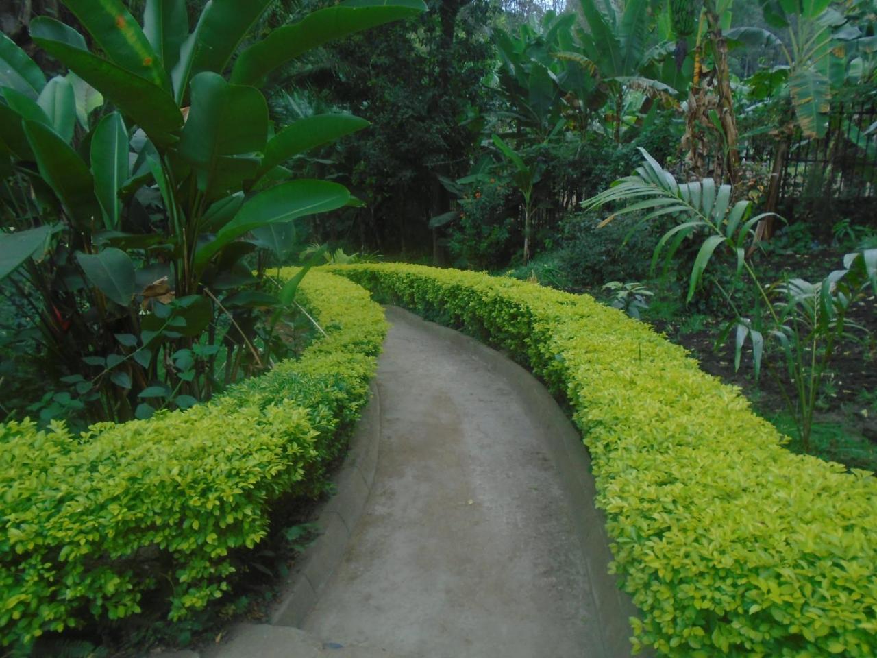 Themi Valley Eco And Cultural Tourism Homestay 阿鲁沙 外观 照片