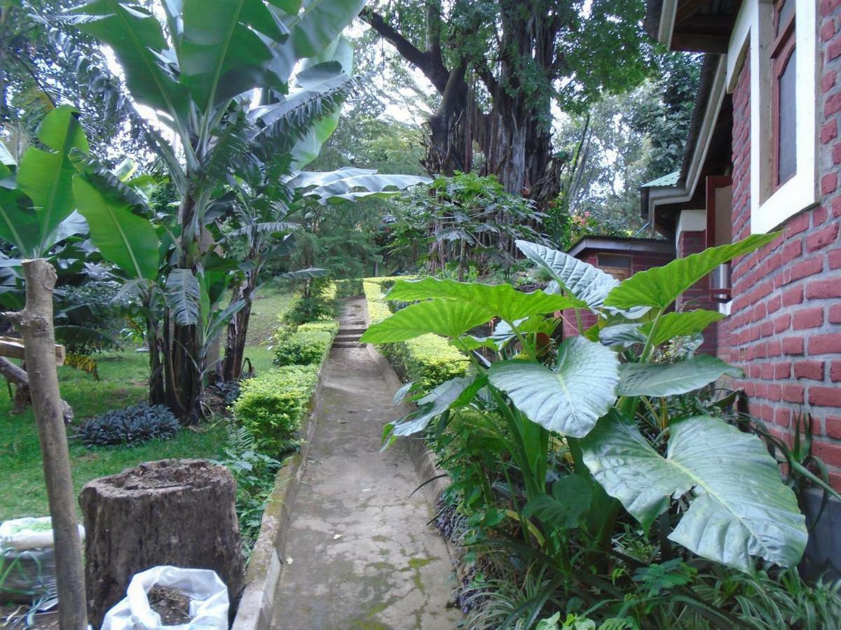 Themi Valley Eco And Cultural Tourism Homestay 阿鲁沙 外观 照片