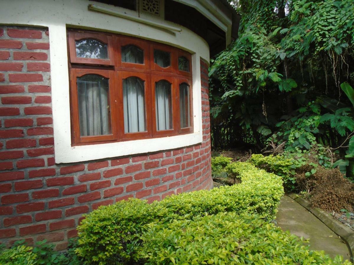 Themi Valley Eco And Cultural Tourism Homestay 阿鲁沙 外观 照片